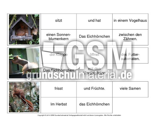 Sätze-bilden-Eichhörnchen 1.pdf